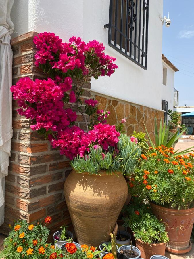 Cortijo Perejil, A Tranquil Mountain Escape & Private Pool Apartment Oria Luaran gambar