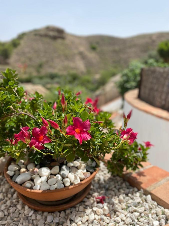 Cortijo Perejil, A Tranquil Mountain Escape & Private Pool Apartment Oria Luaran gambar