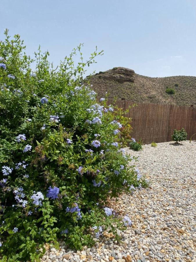 Cortijo Perejil, A Tranquil Mountain Escape & Private Pool Apartment Oria Luaran gambar