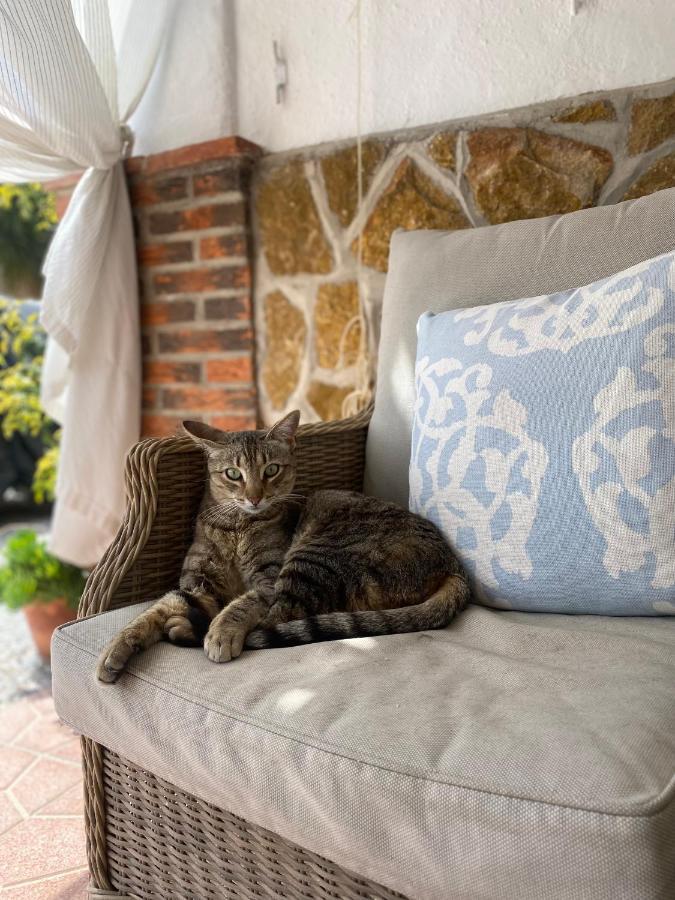 Cortijo Perejil, A Tranquil Mountain Escape & Private Pool Apartment Oria Luaran gambar